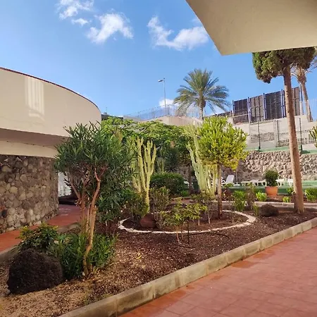 Guinea Nidive Apartment